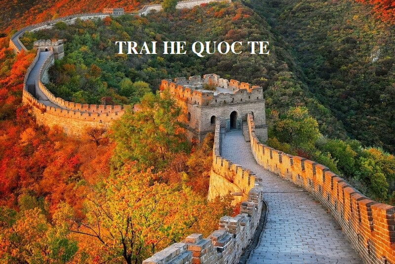 danh-sach-hoc-bong-khong-tu-online-dai-hoc-ngon-ngu-bac-kinh-2022